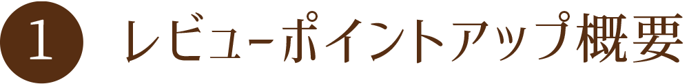 エドインター公式オンラインショップ レビュー