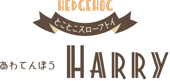 retron forest(レトロンフォレスト)とことこスロープトイ『あわてんぼうHarry（ハリー）』