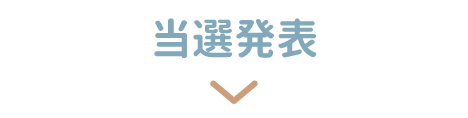 日本製ままごとキッチン50%OFFモニターキャンペーン 005