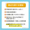 おさんぽくまさん