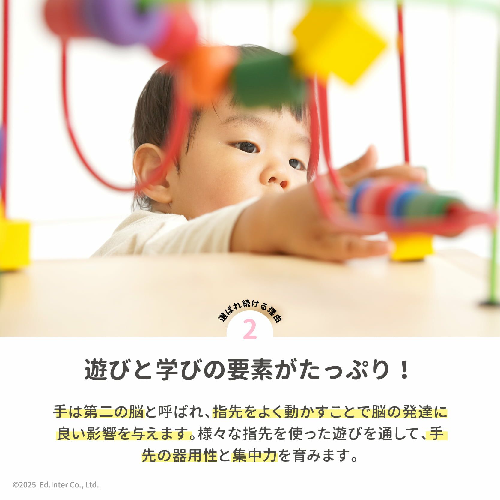 森のあそび箱
