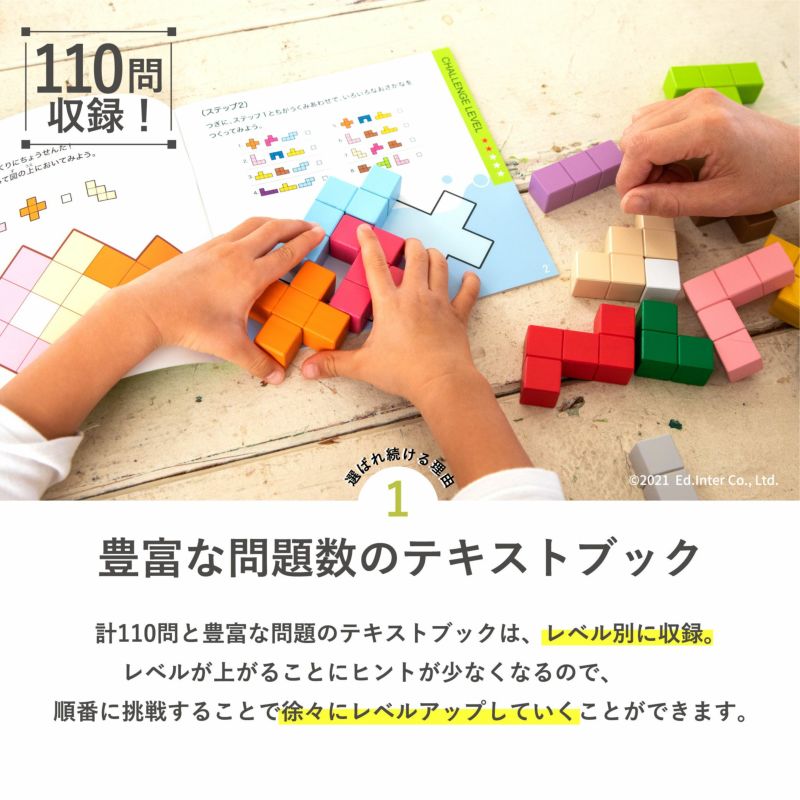 立体パズル 110問 知育玩具 学習玩具 4歳以上 エド・インター Ed.Inter