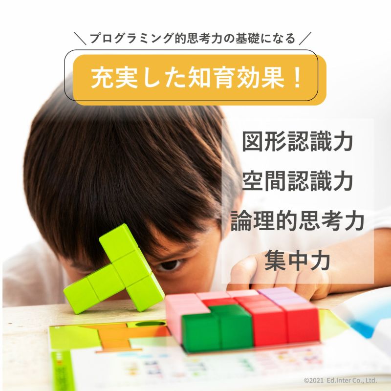 立体パズル 知育玩具 木のおもちゃ GENI