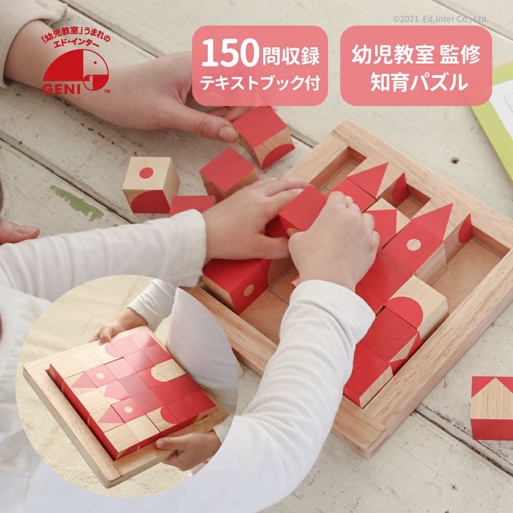 脳活キューブ 知育玩具 木のおもちゃ GENI