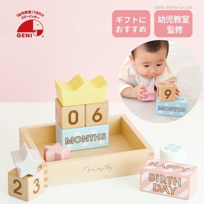 Memory Biscuits -メモリービスケット-  幼児教室監修 ご出産祝い つみき アニバーサリーフォト
