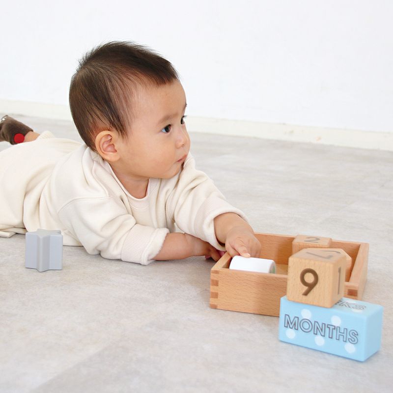 Memory Biscuits -メモリービスケット-