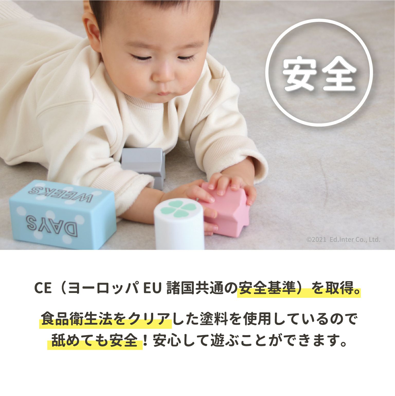 Memory Biscuits -メモリービスケット-