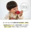 とれたて　なすび  幼児教室監修 木のおもちゃ アルコール除菌OK