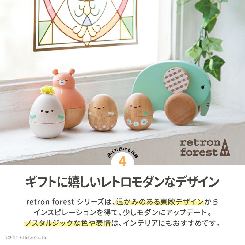 チョウコシオリエビ | 串本の生きもの | 串本でのダイビングは