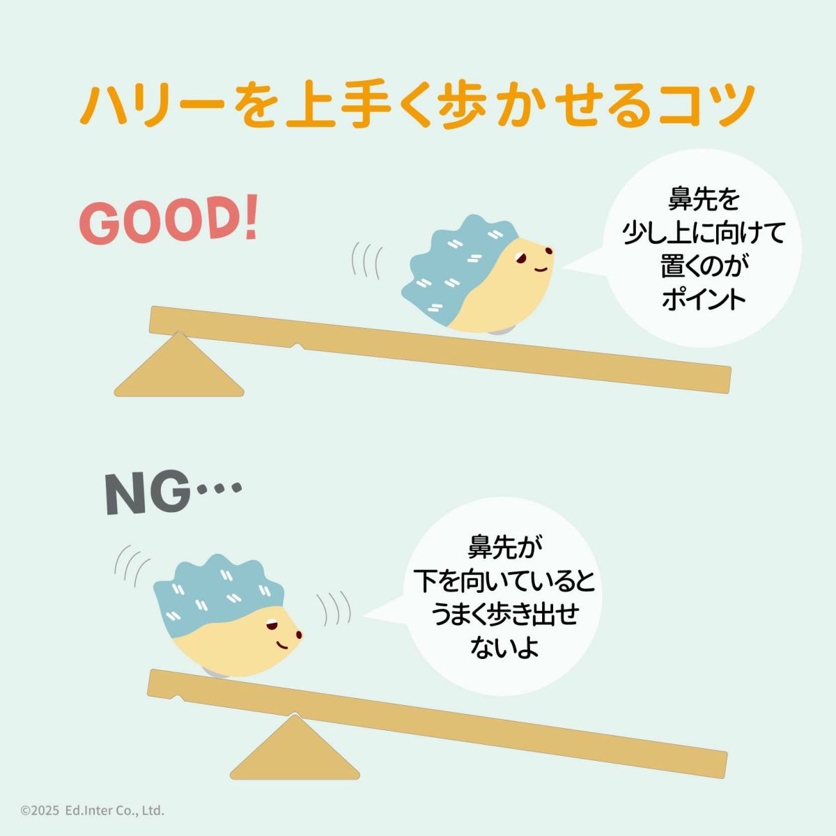 木のおもちゃ「スロープトイ ハリー」の遊び方のコツ｜GENI 知育玩具