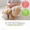 お宝さがし遊びで思考力を育む布のおもちゃ｜GENI「ぽけっとぱぺっと」ファーストトイ